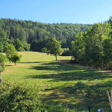 Apartman Blick Ins Gruene